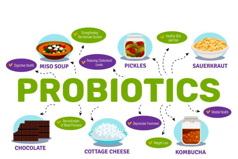 پروبیوتیک چه فوایدی برای بدن دارند؟